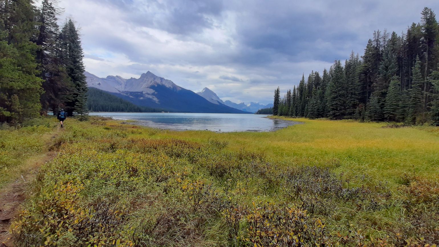 moose lake jasper national park canada