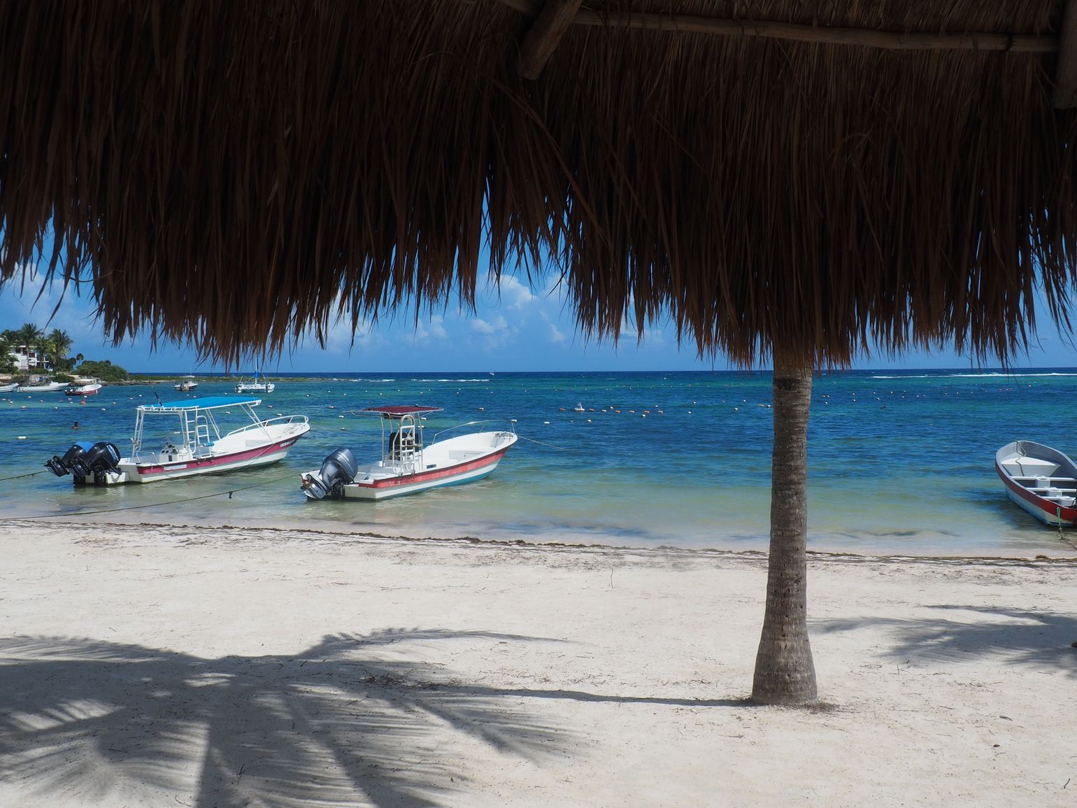 strand bij akumal mexico 