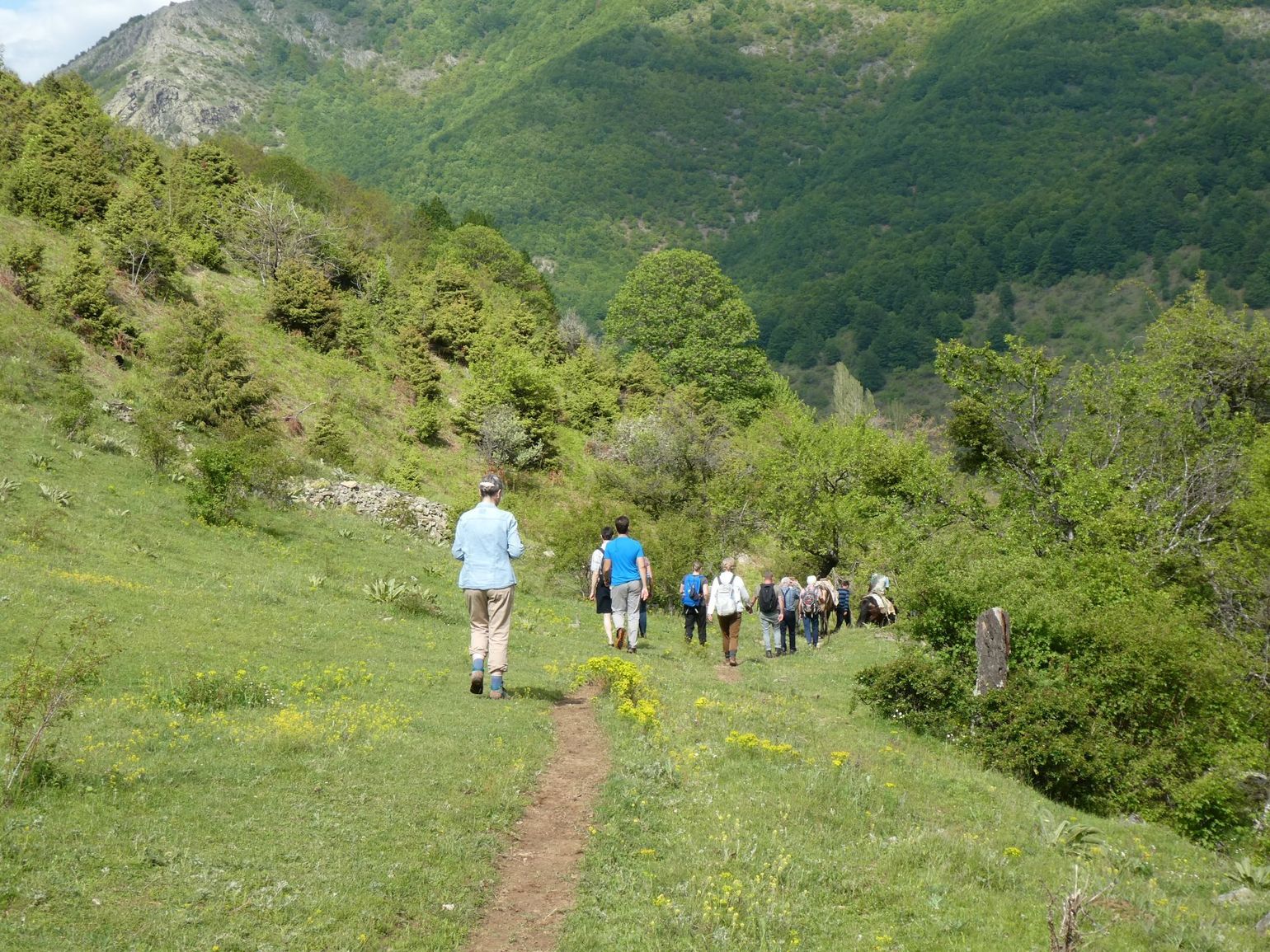 Joker Comfort - Albanië, Noord-Macedonië en Griekenland