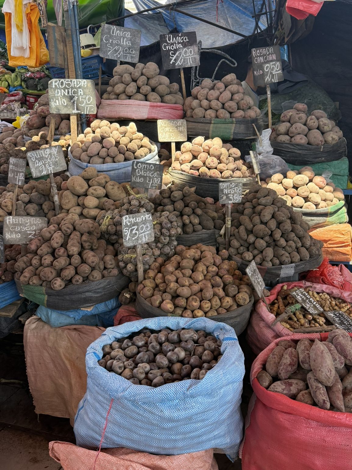 Arequipa foodtour