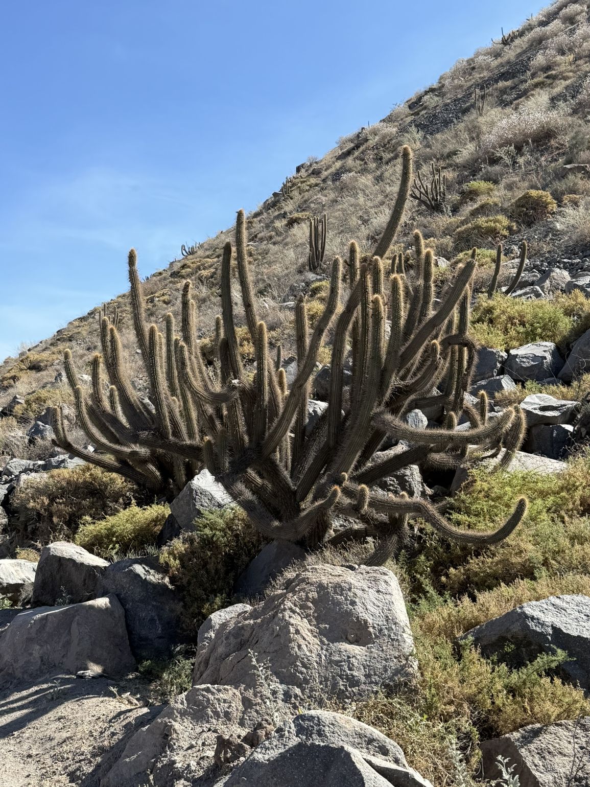 Hike Capua waterval