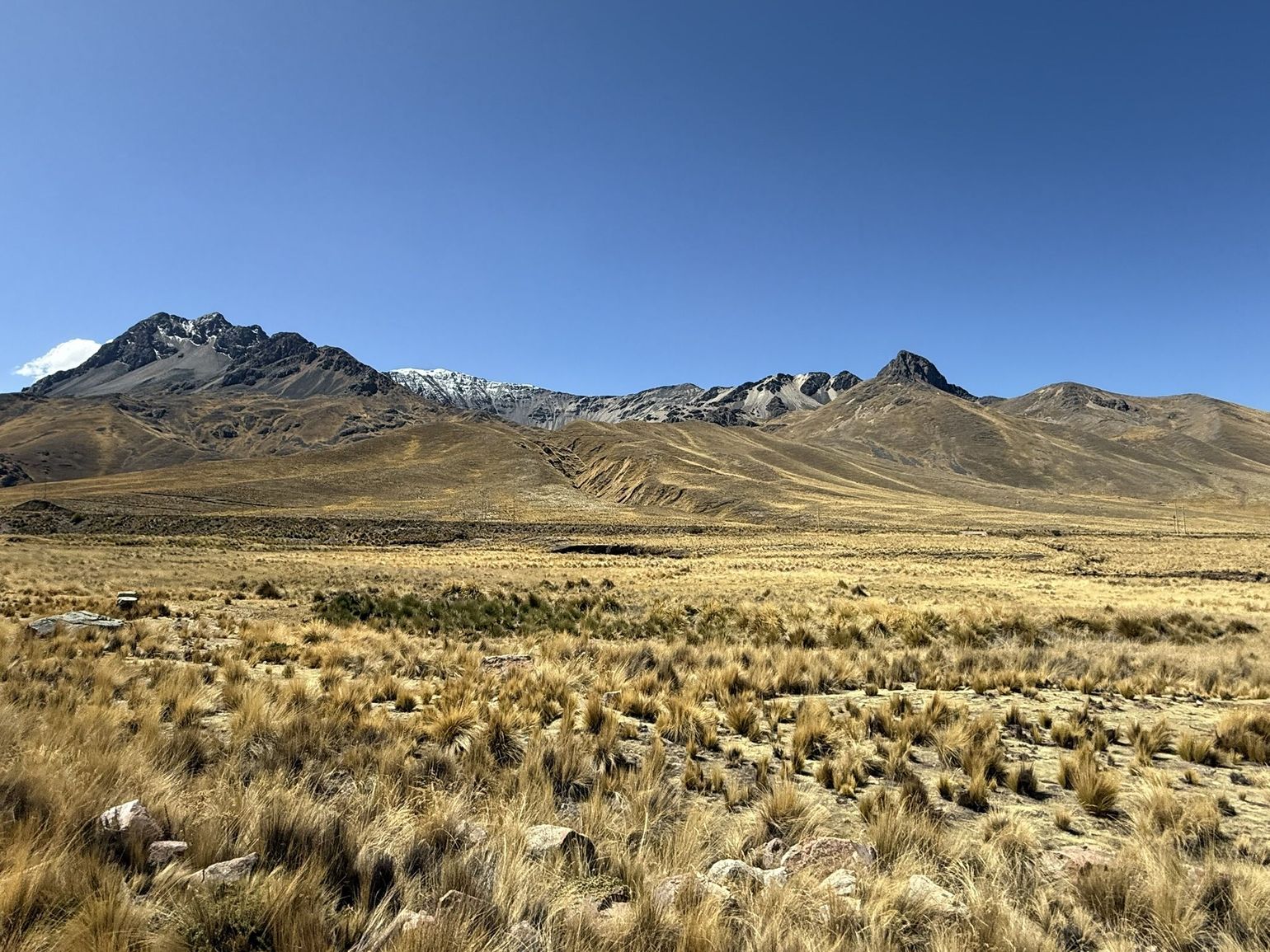 Perurail Puno Cusco