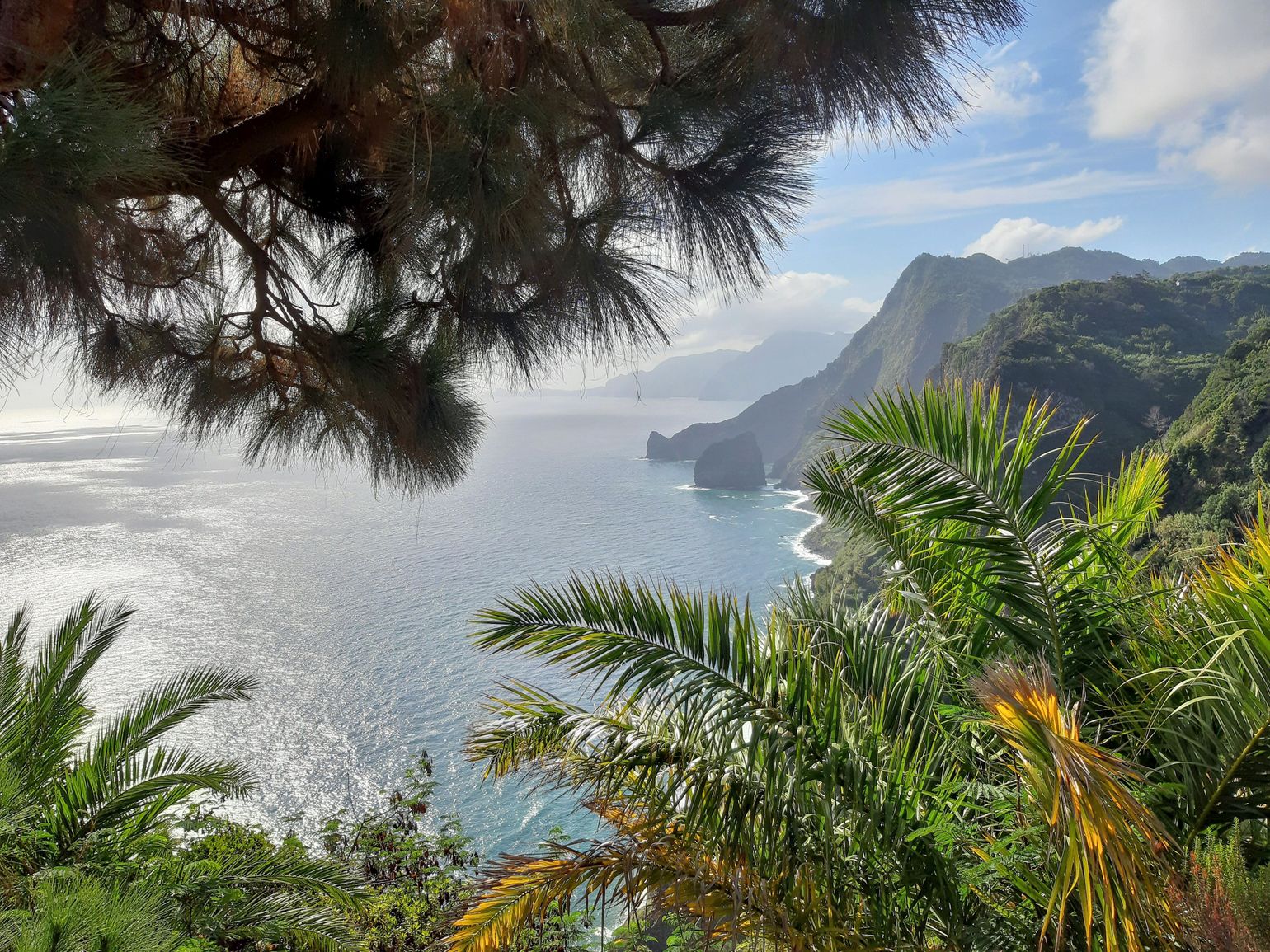 Madeira vs de Azoren groepsreis