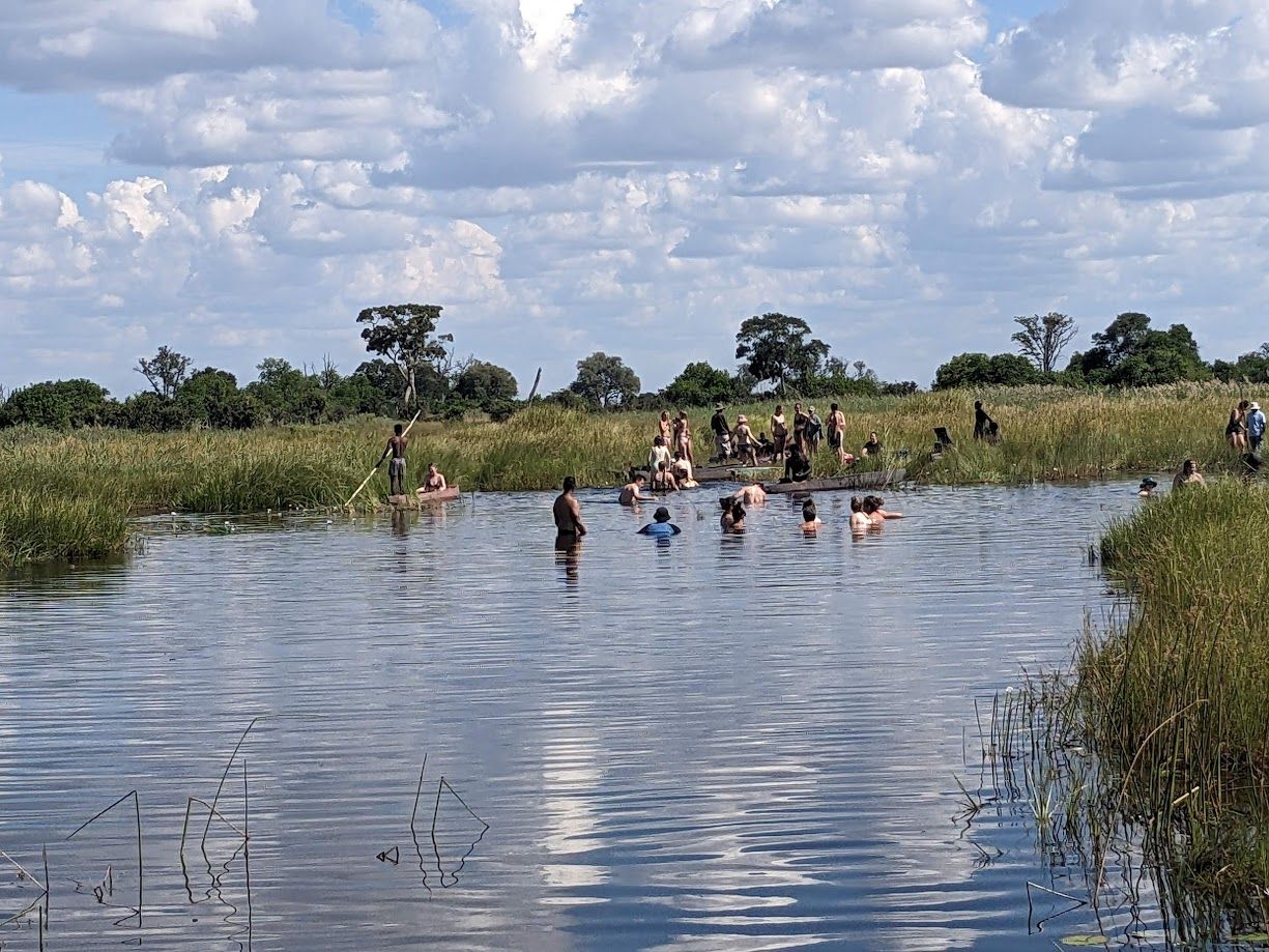 zwemmen okavango delta