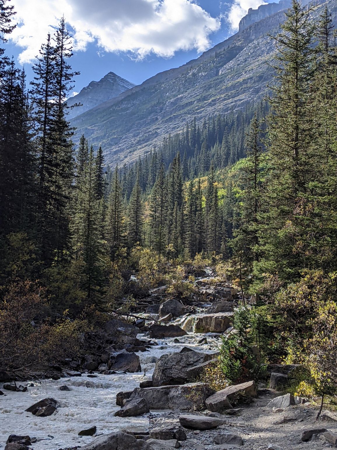 Canadian rockies