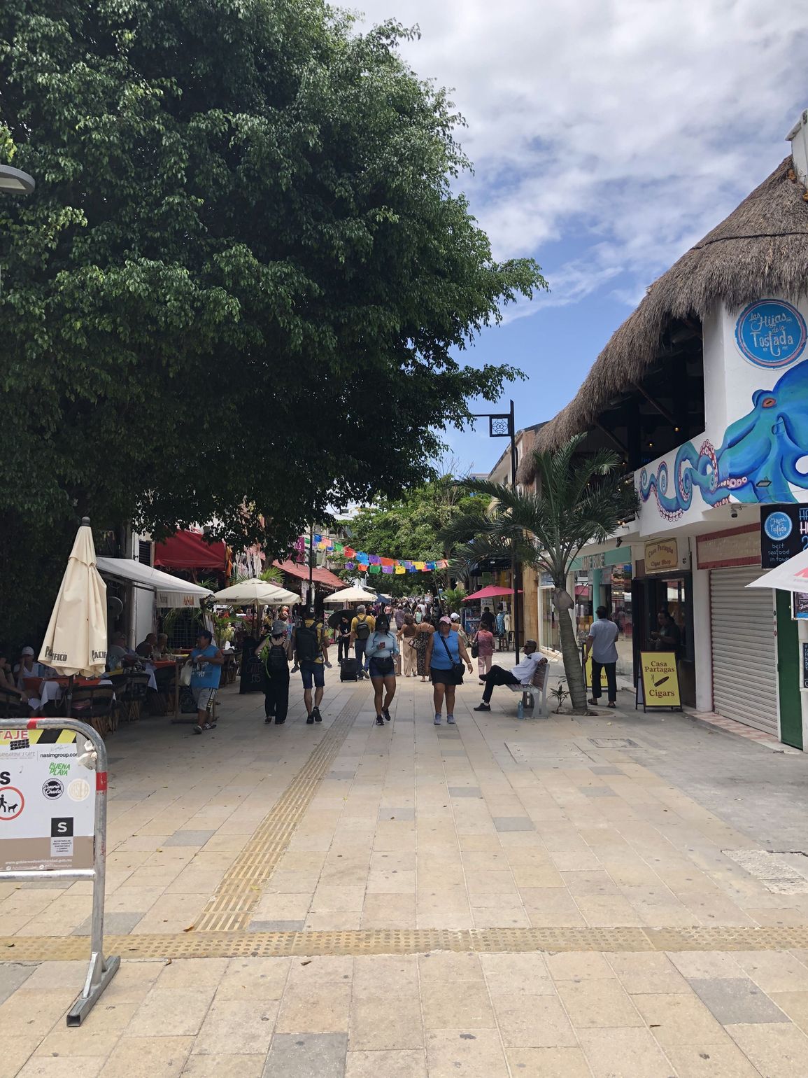 playa del carmen