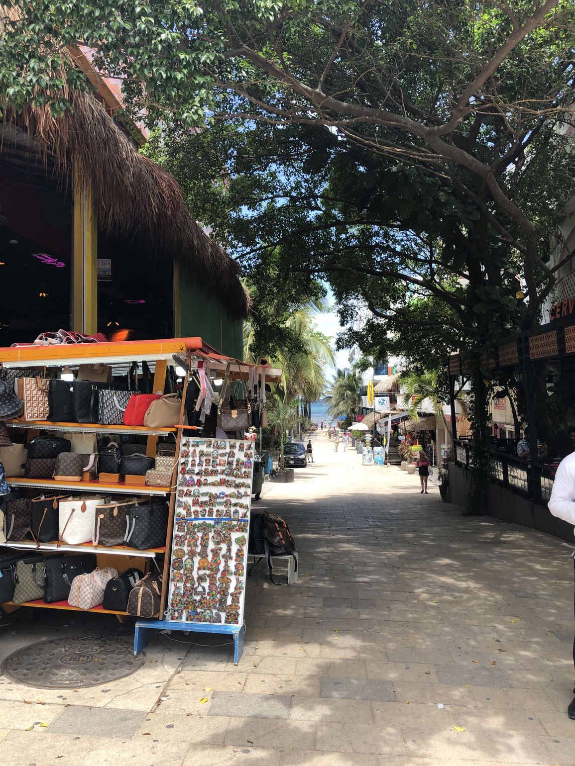 playa del carmen