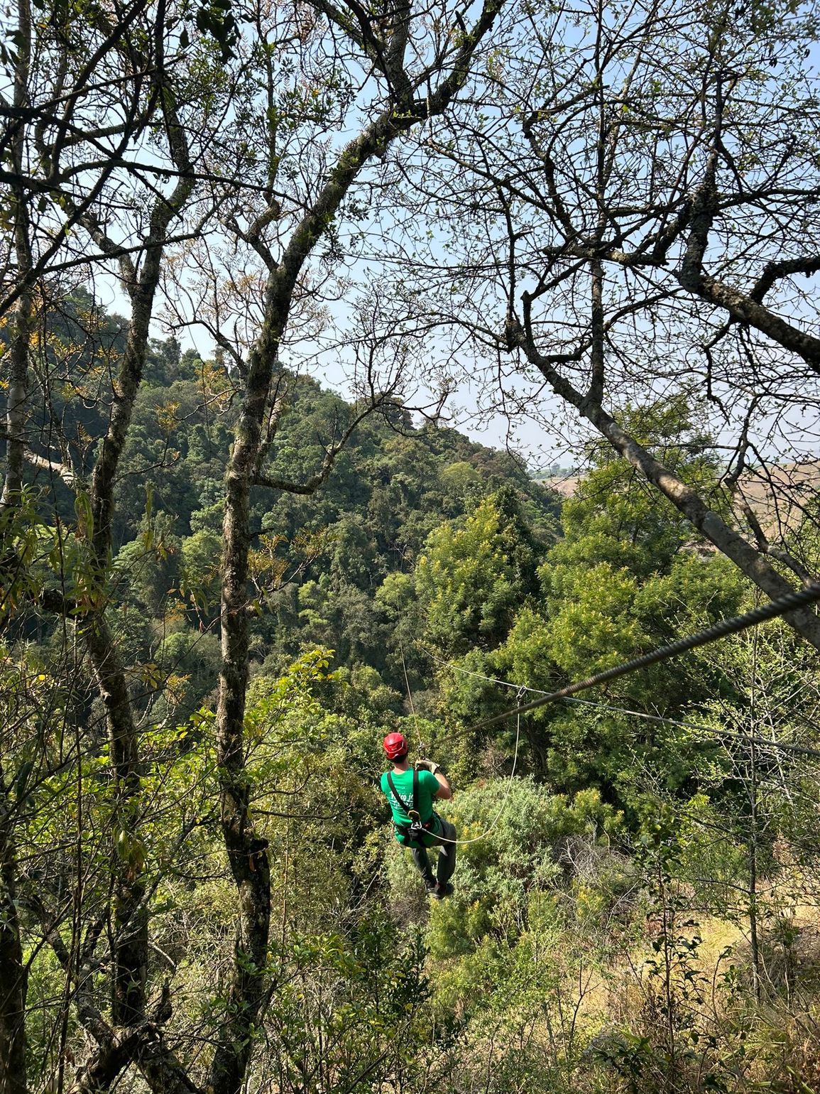 canopy tour zipline zuid-afrika