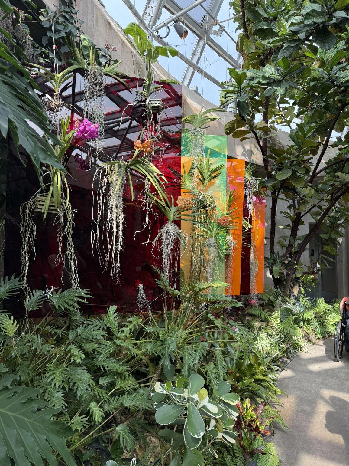 botanical garden san antonio