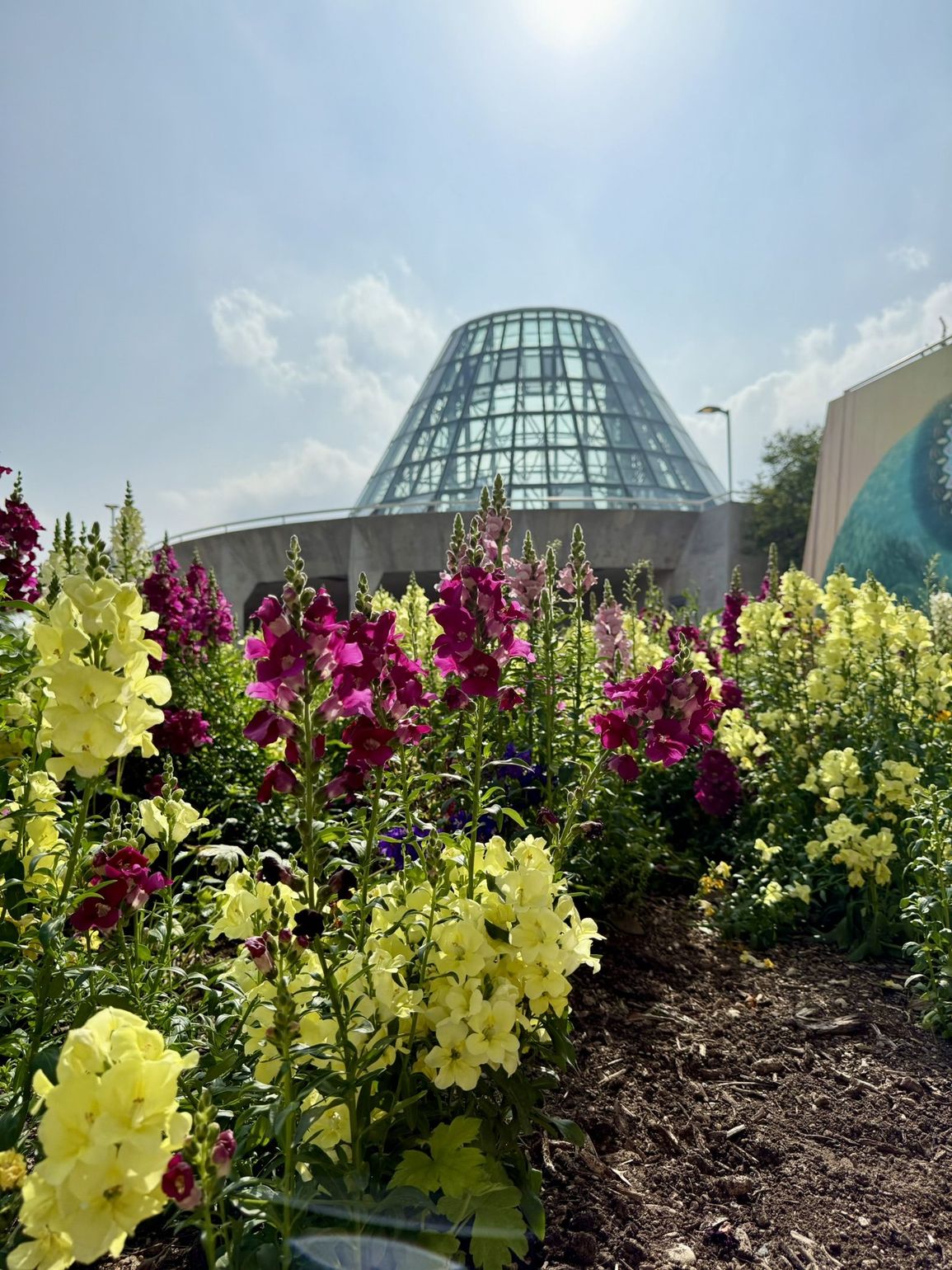 botanische tuin texas