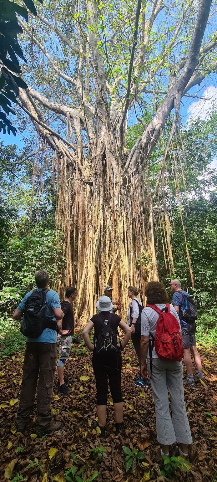 Groepsreizen naar Cuba