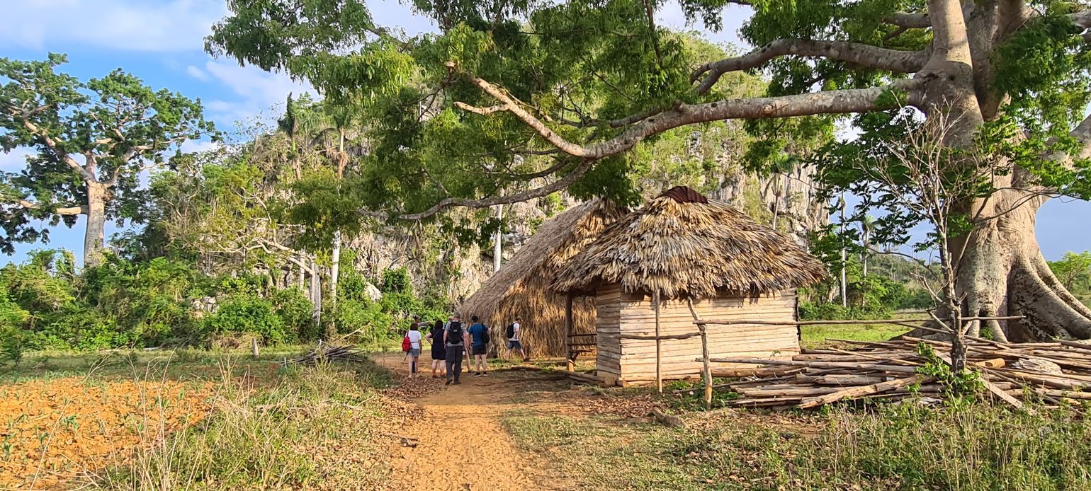 Groepsreizen naar Cuba