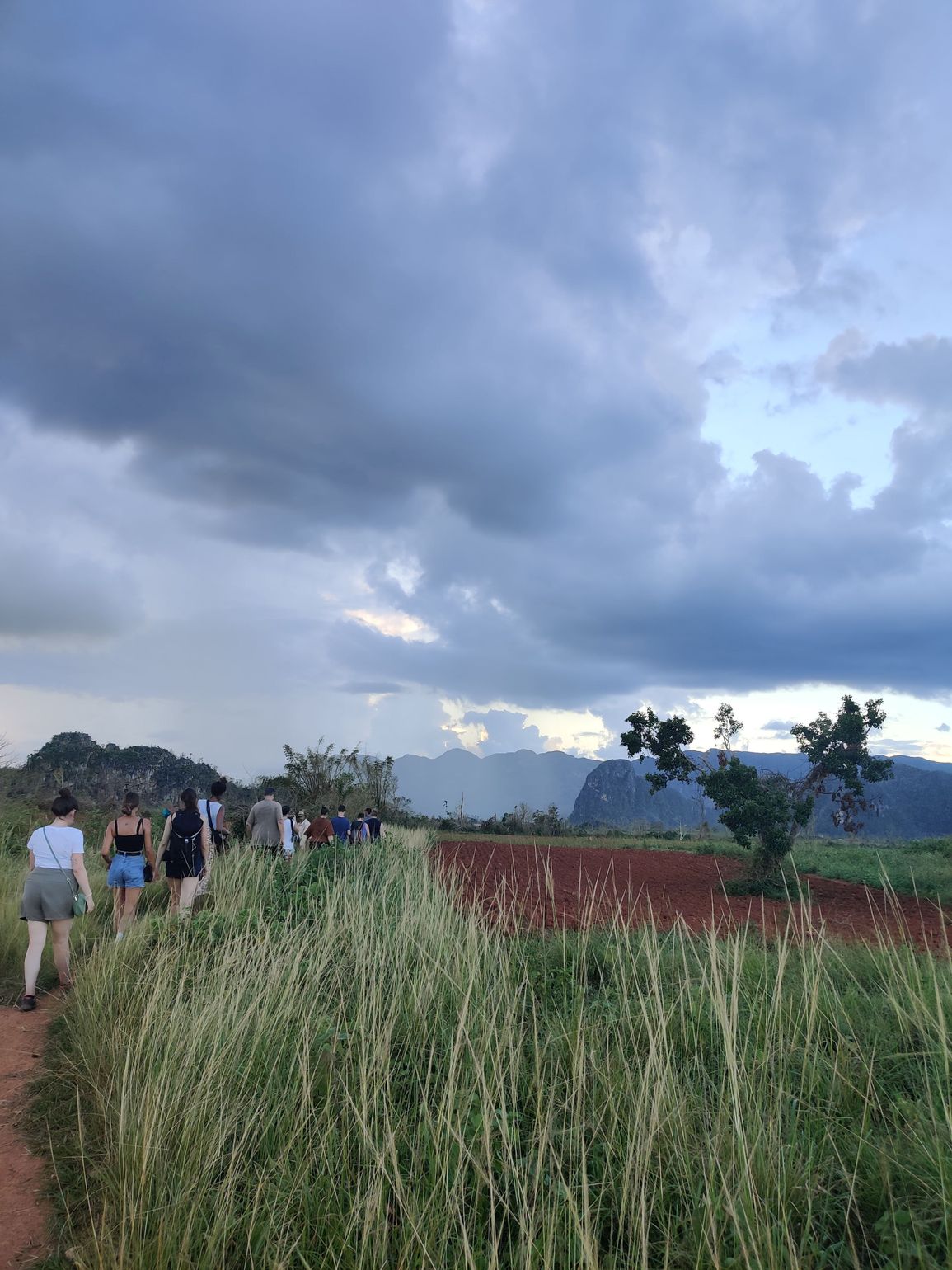 Groepsreizen naar Cuba