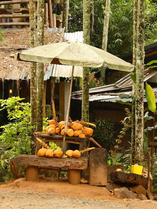 fruitkraam sri lanka