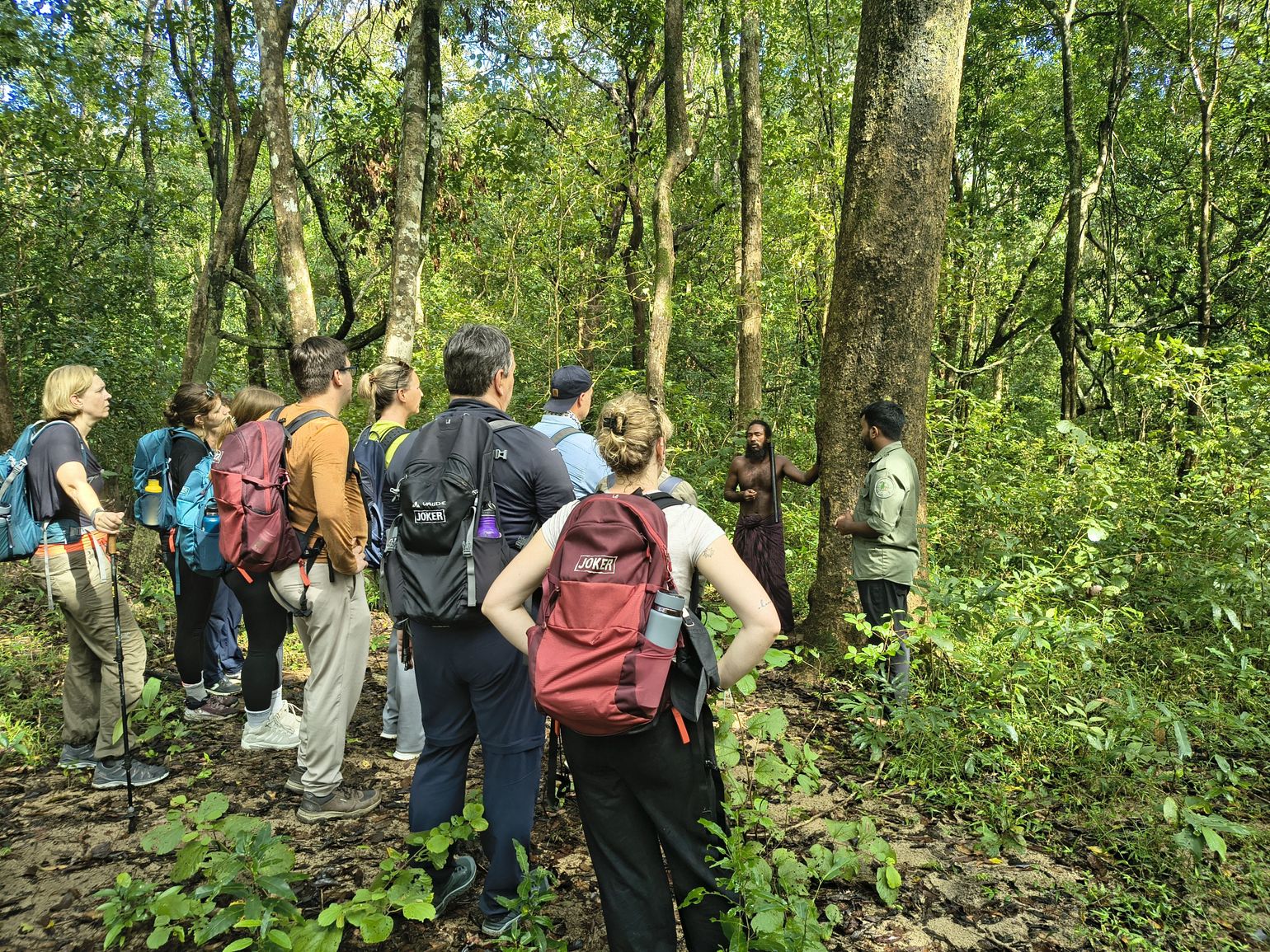 tocht door de jungle in sri lanka