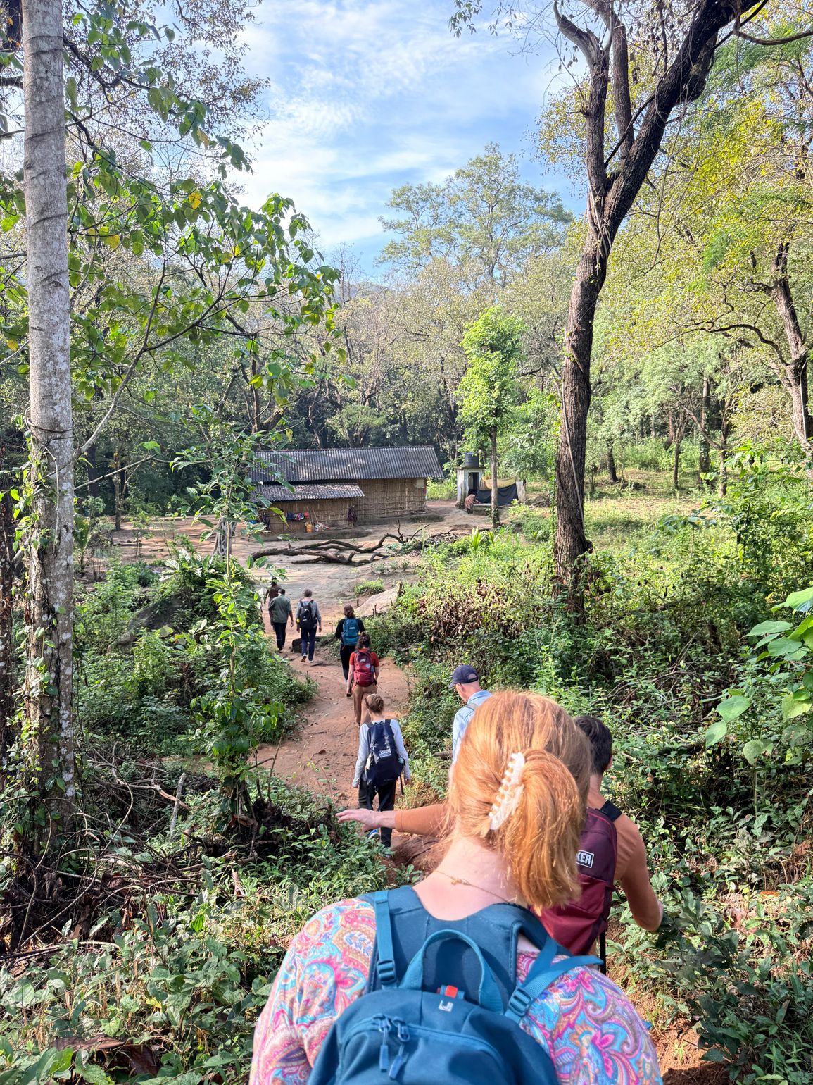 junglewalk in sri lanka