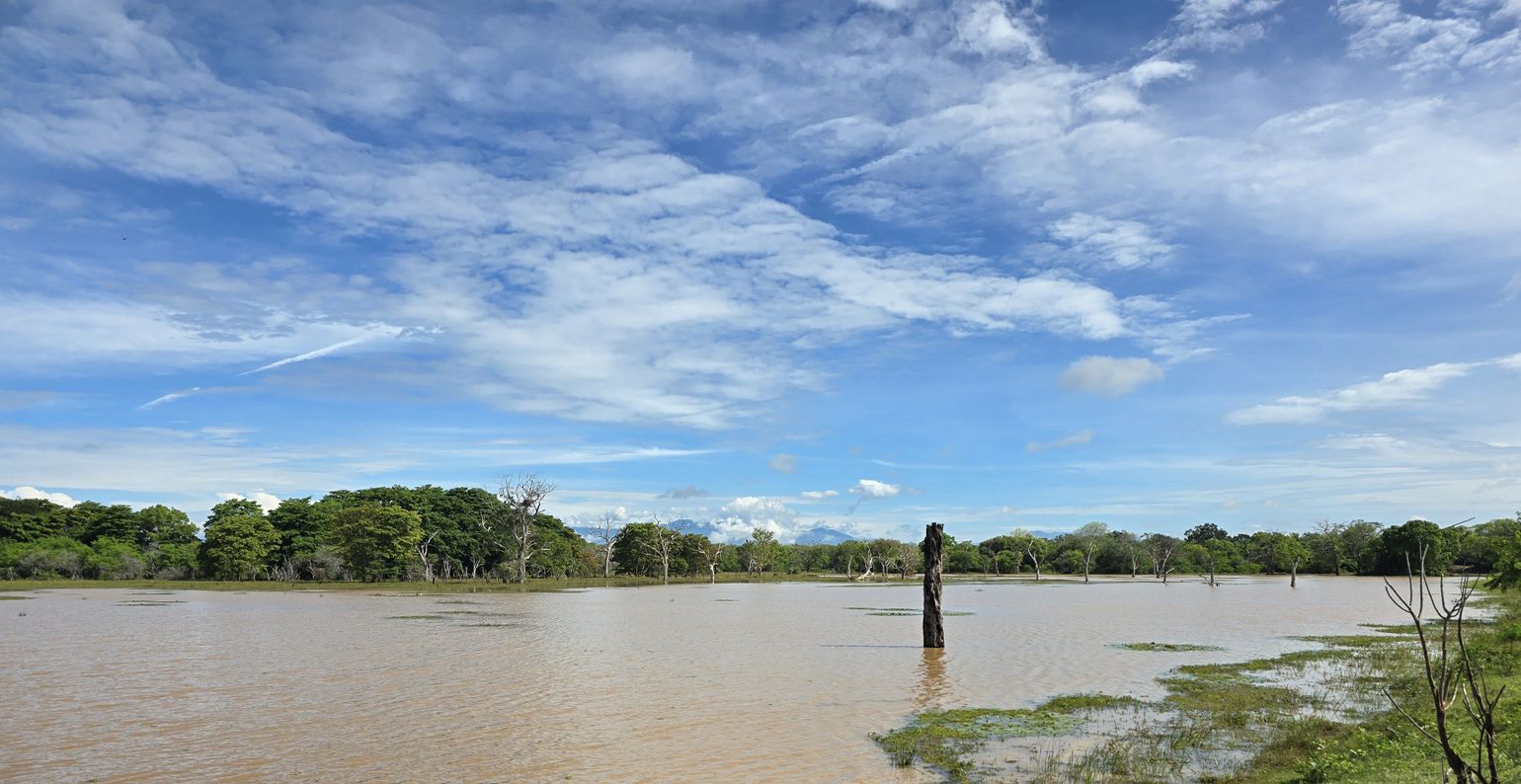 jeepsafari yala sri lanka
