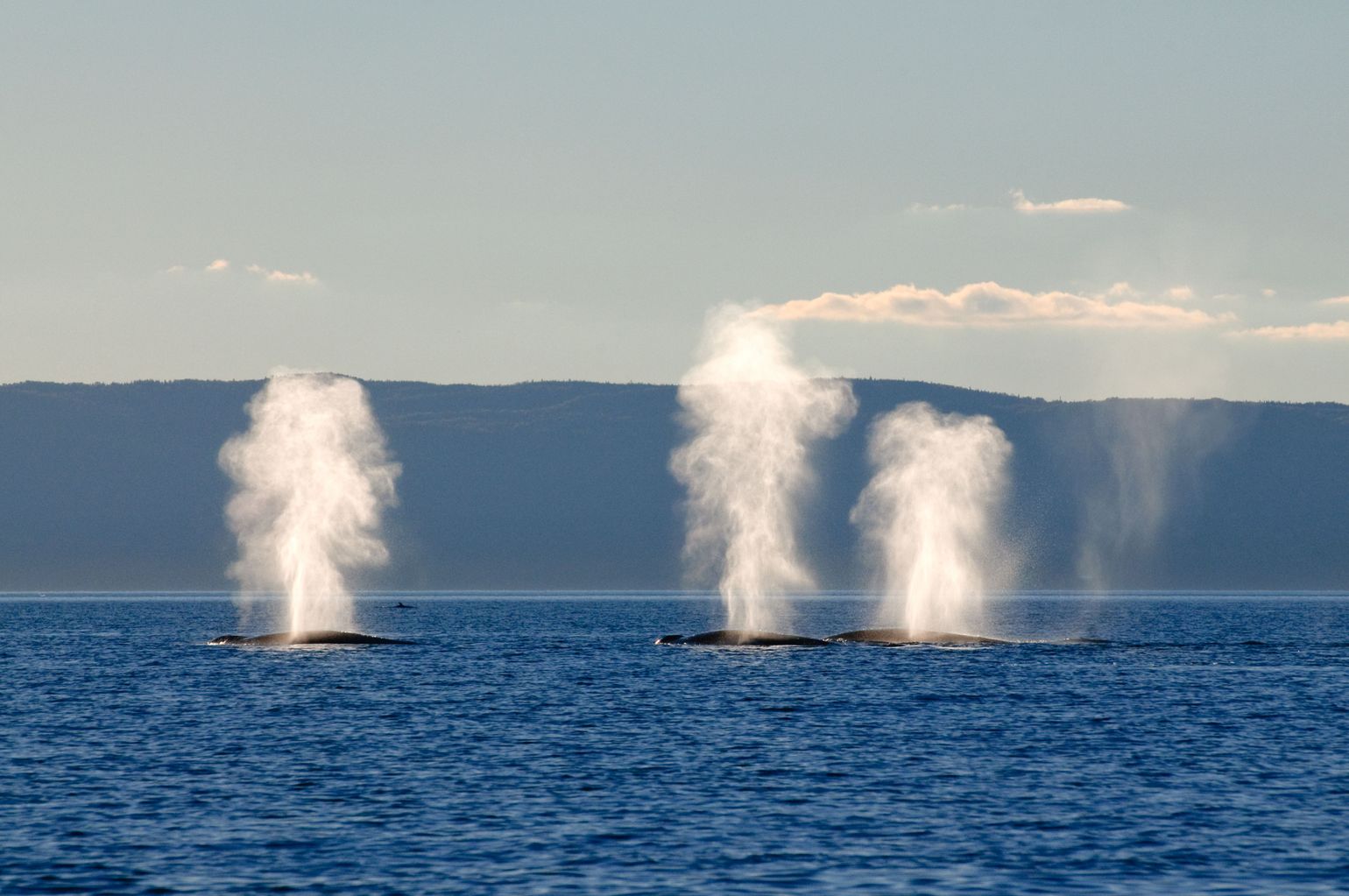 Côte-Nord © GouvQc Marc Loiselle