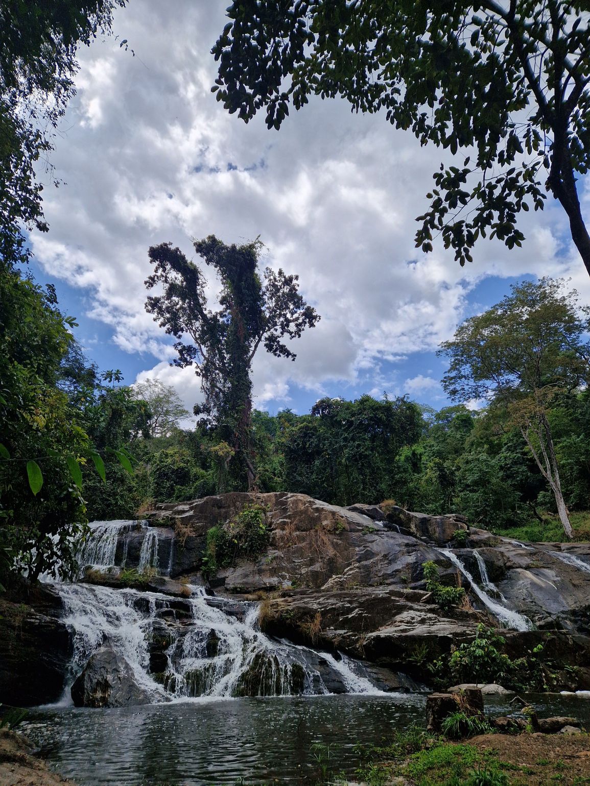 Miniwaterval Udzungwa