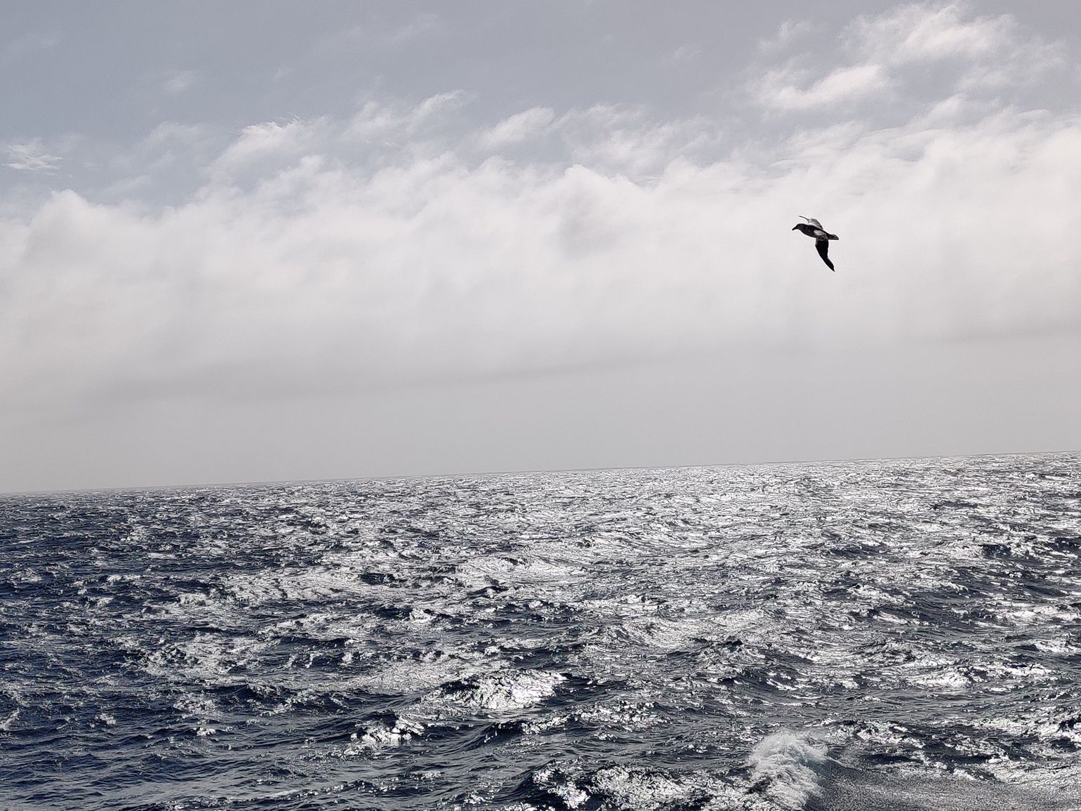 Drake Passage