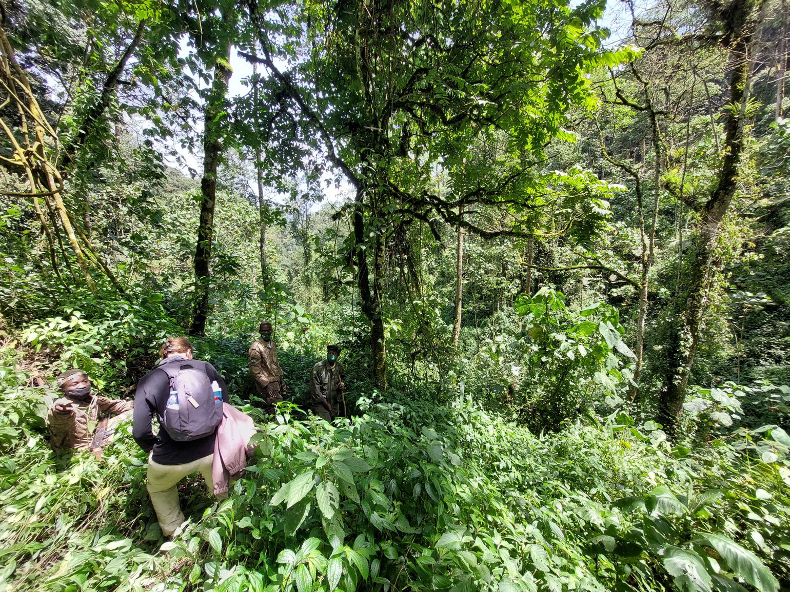 Gebied trektocht