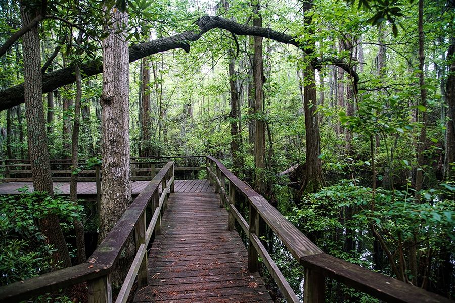 First Landing State Park