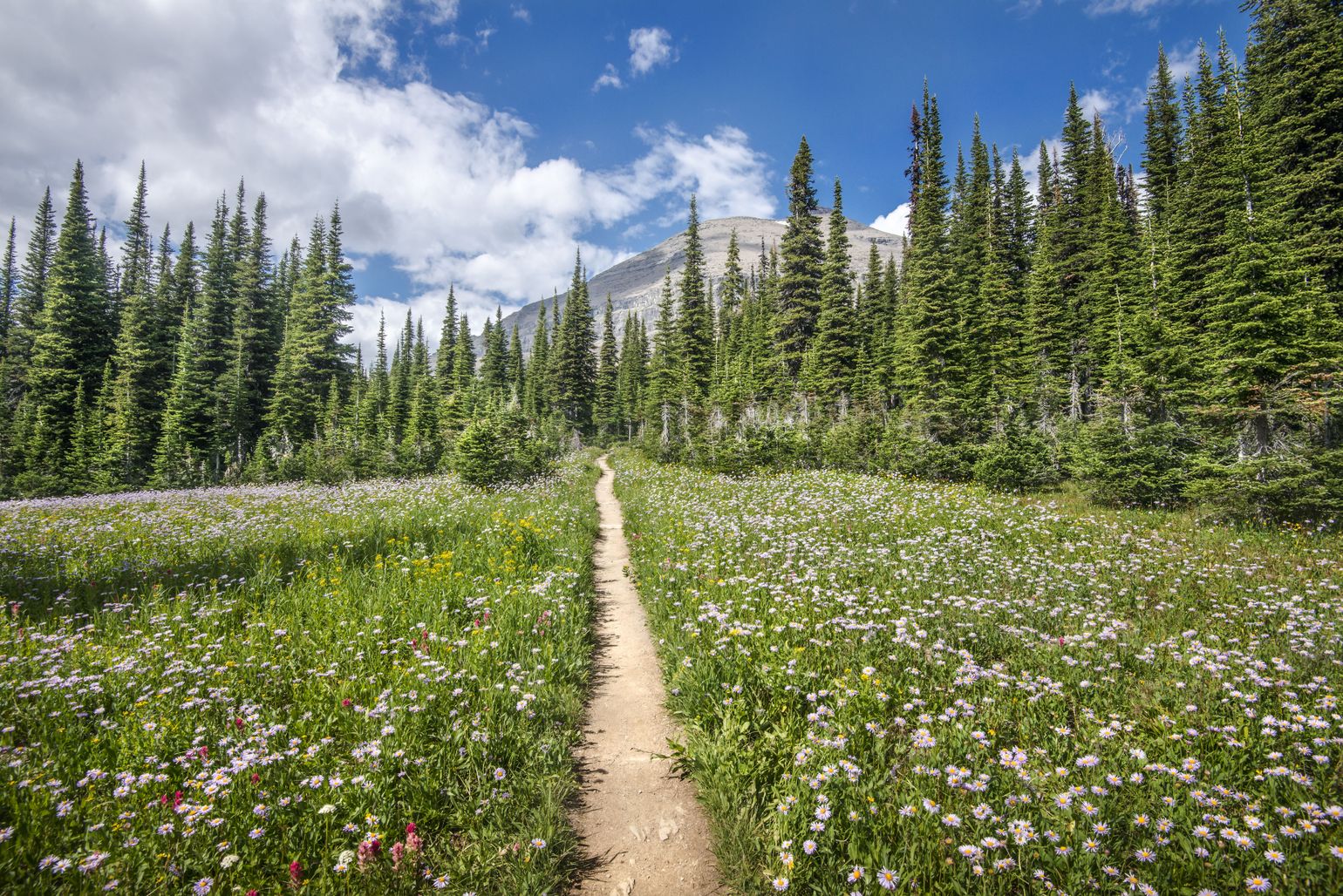 glacier national park