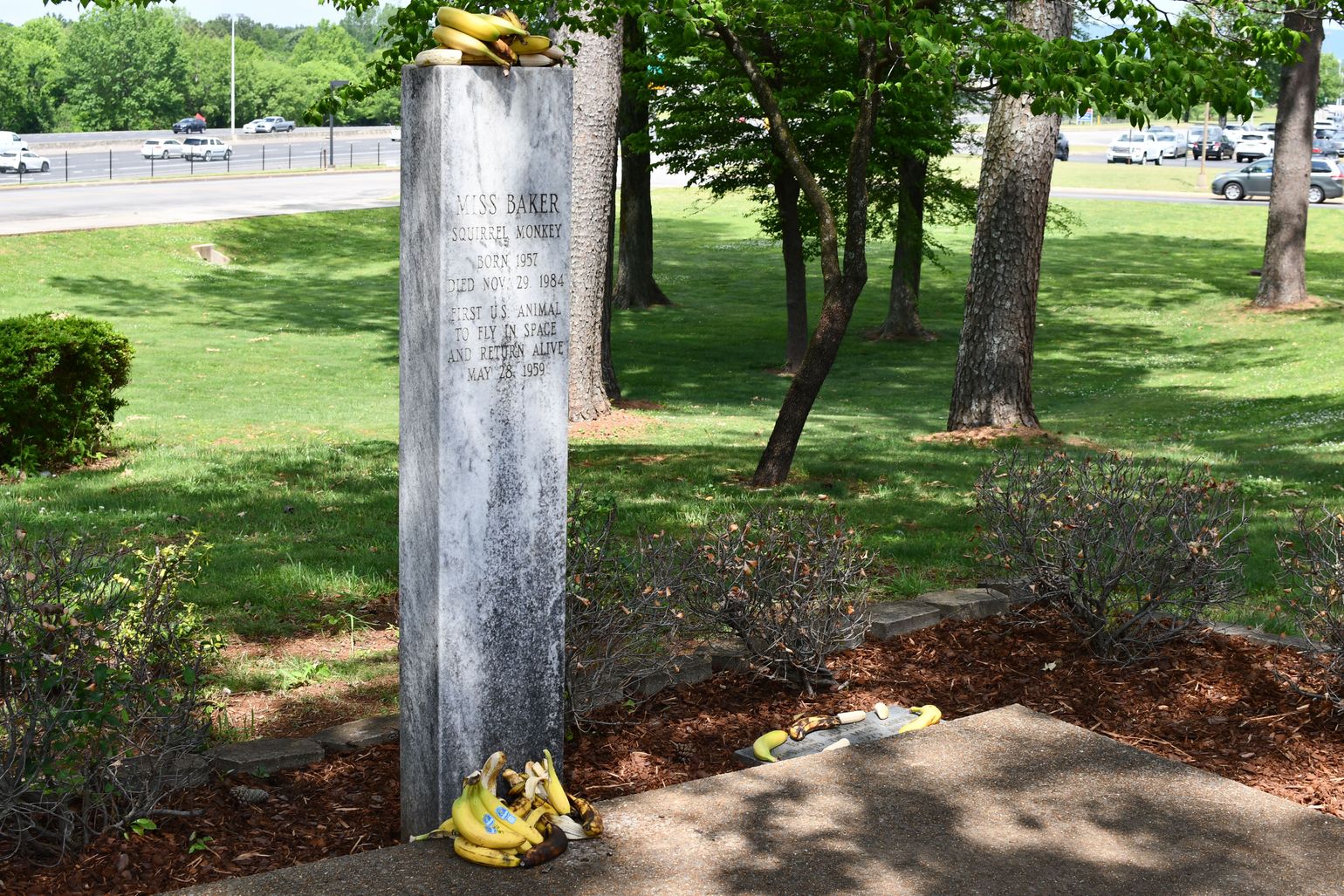 Het graf van Ms Baker