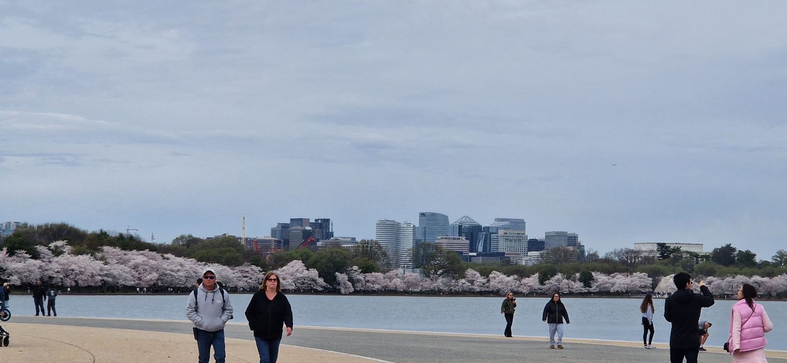 washington dc