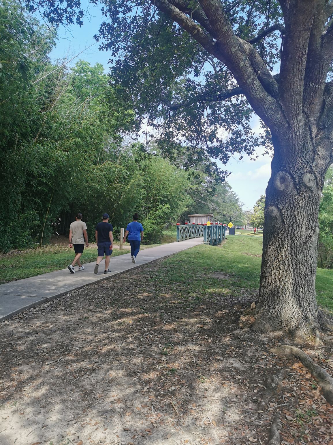 ingang tabasco factory