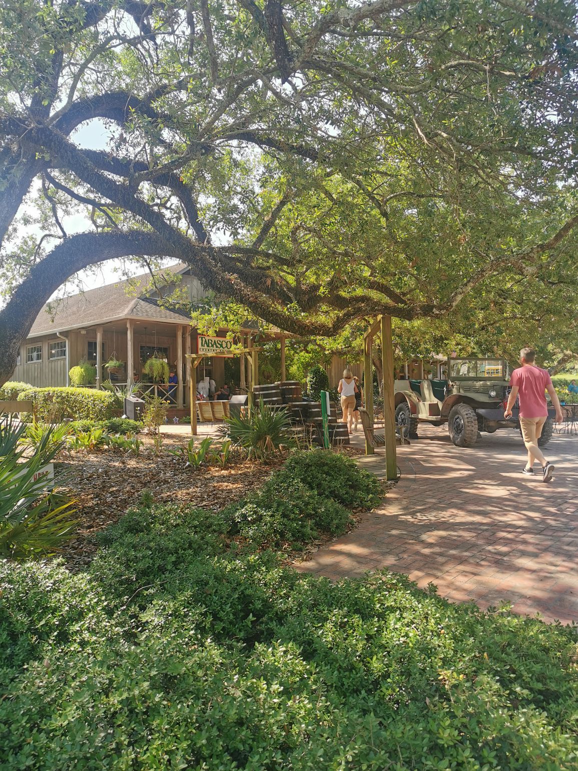 tabasco avery island