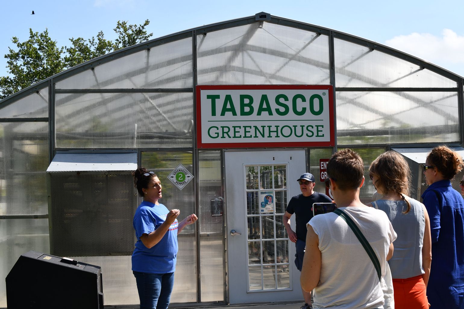 tabasco pepers serre greenhouse
