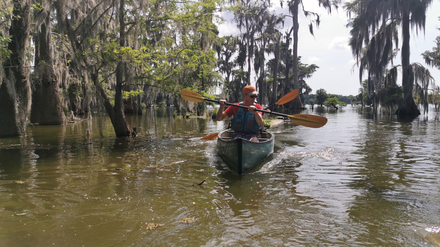 kajak in de swamps USA