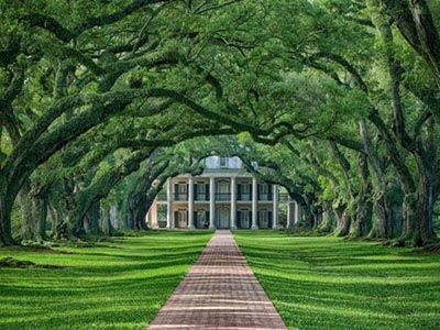 plantage oak alley