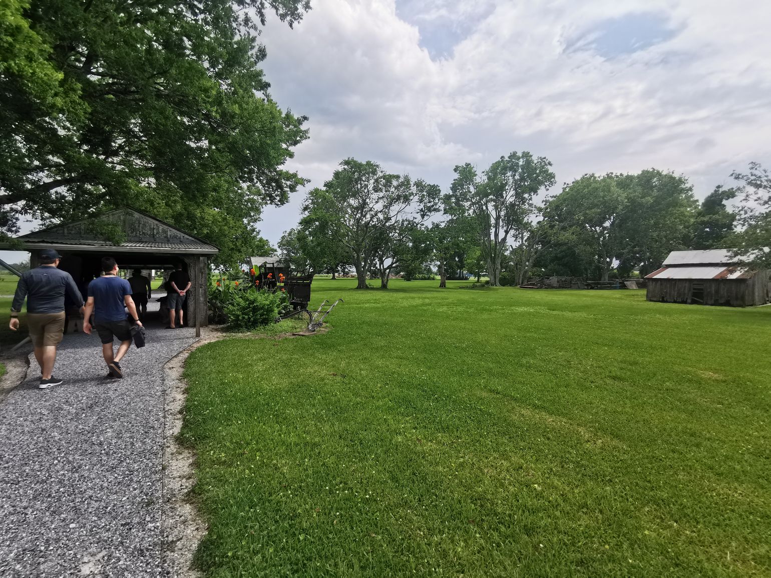 Tour met gids op plantage