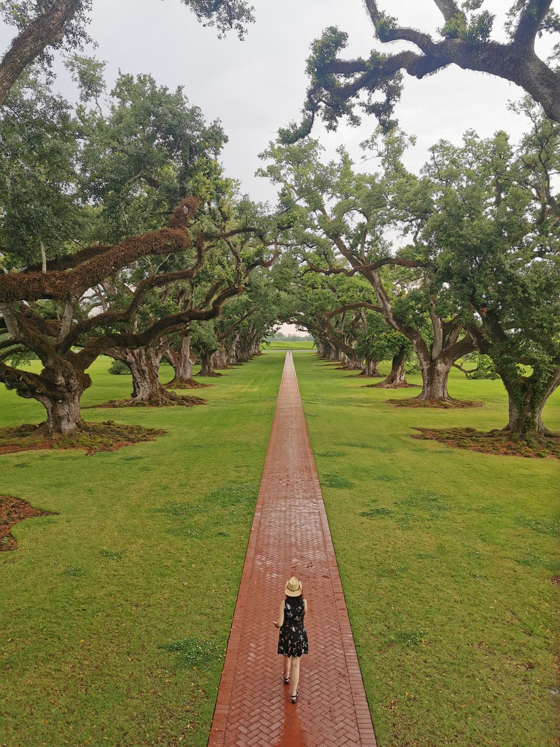Oak Alley Plantation