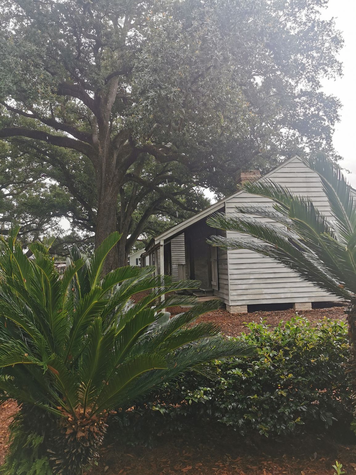 Plantage Oak Alley