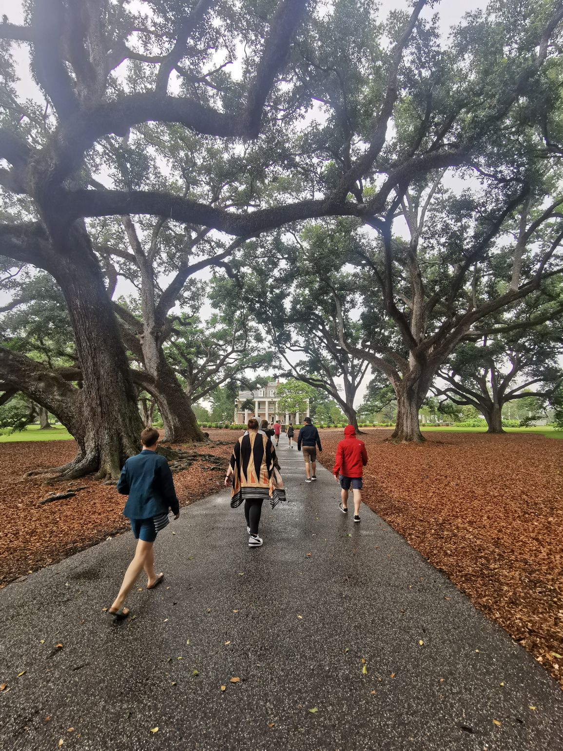 Oak Alley Plantage nabij New Orleans