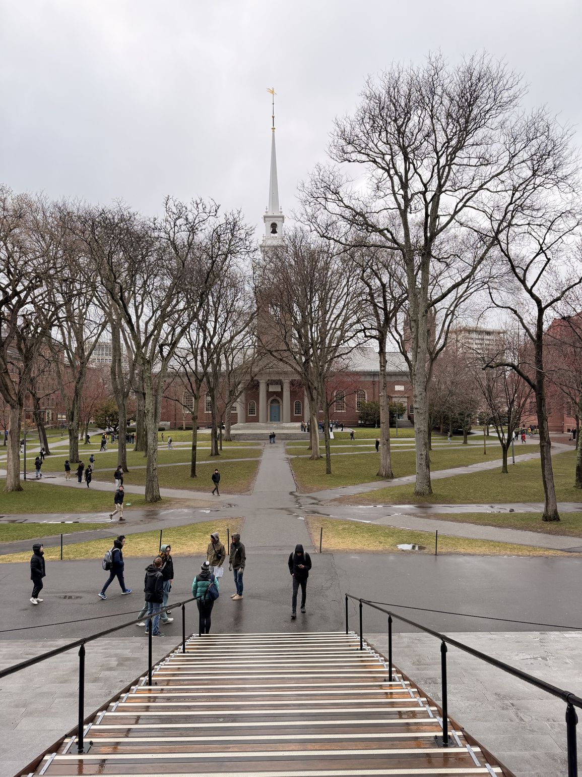 harvard university