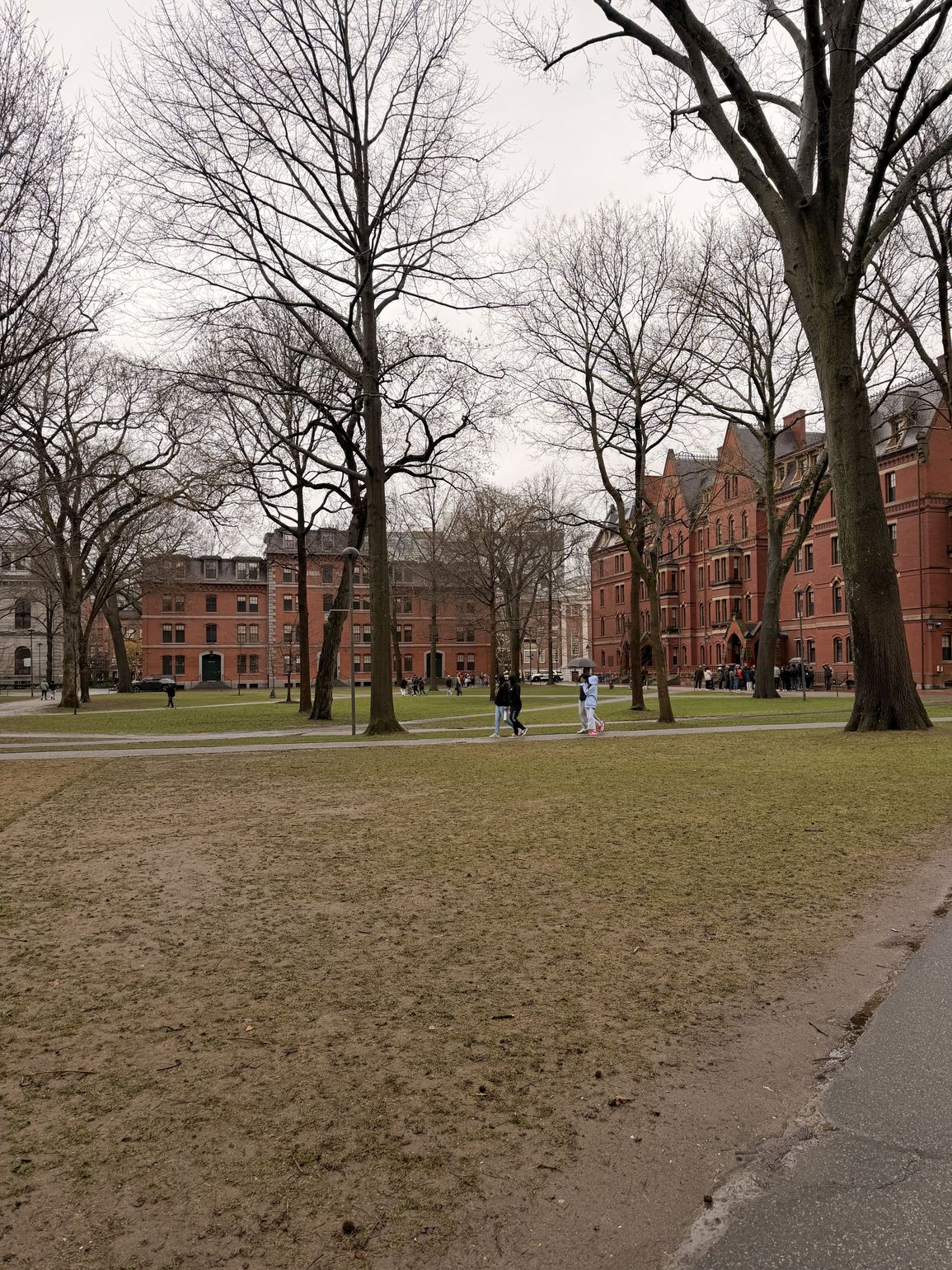 Harvard in Boston