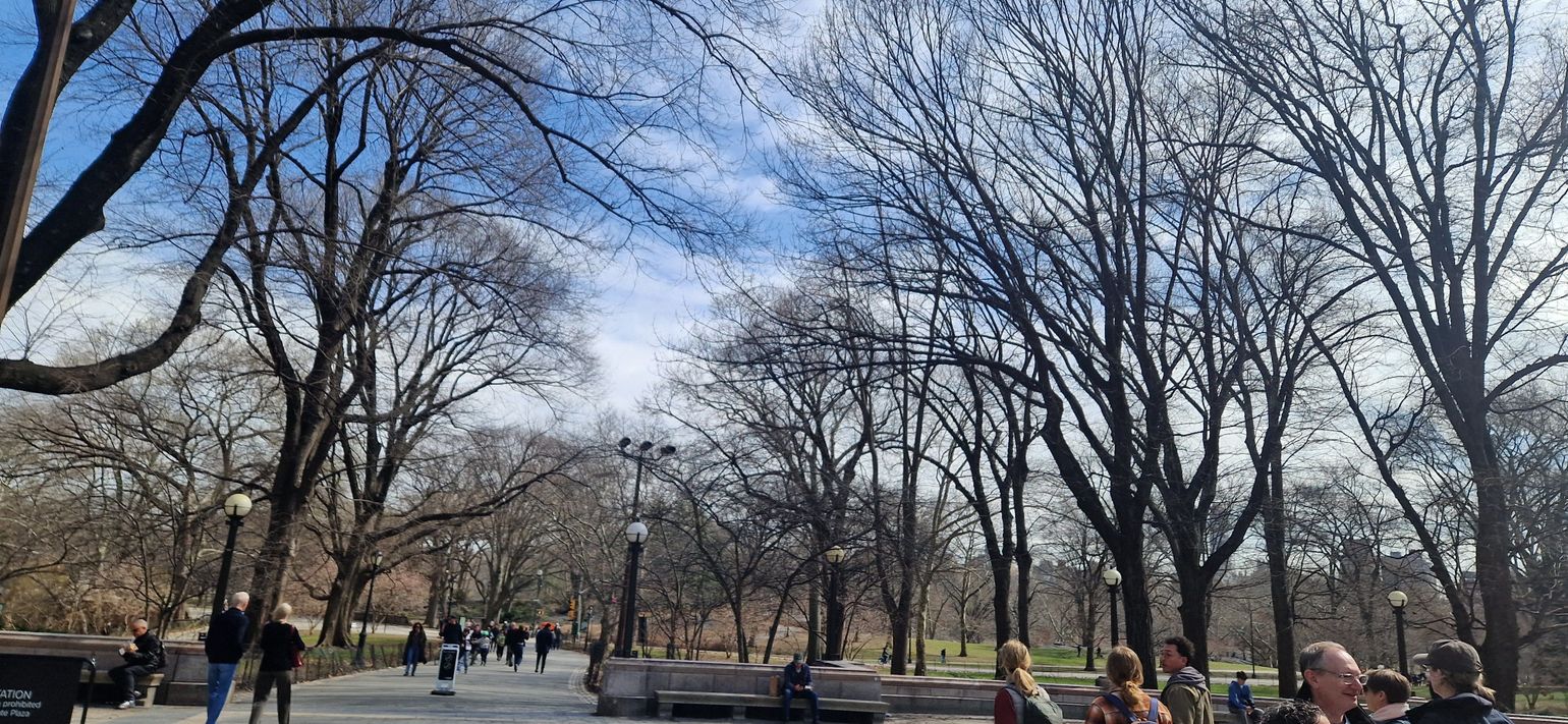 Wandeling in the park NYC
