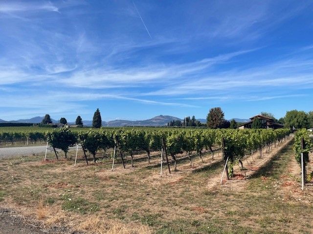 Columbia River Gorge Fruit Loop Tour