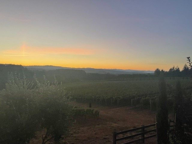 Columbia River Gorge 