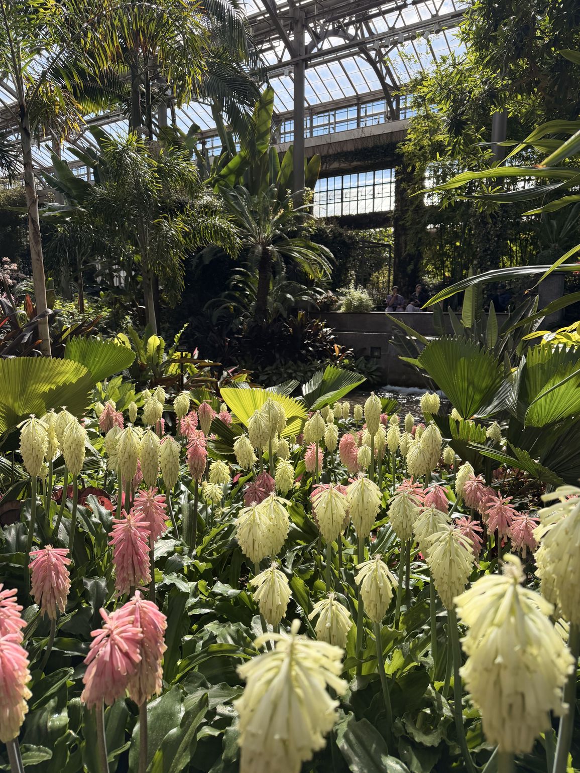 longwood gardens