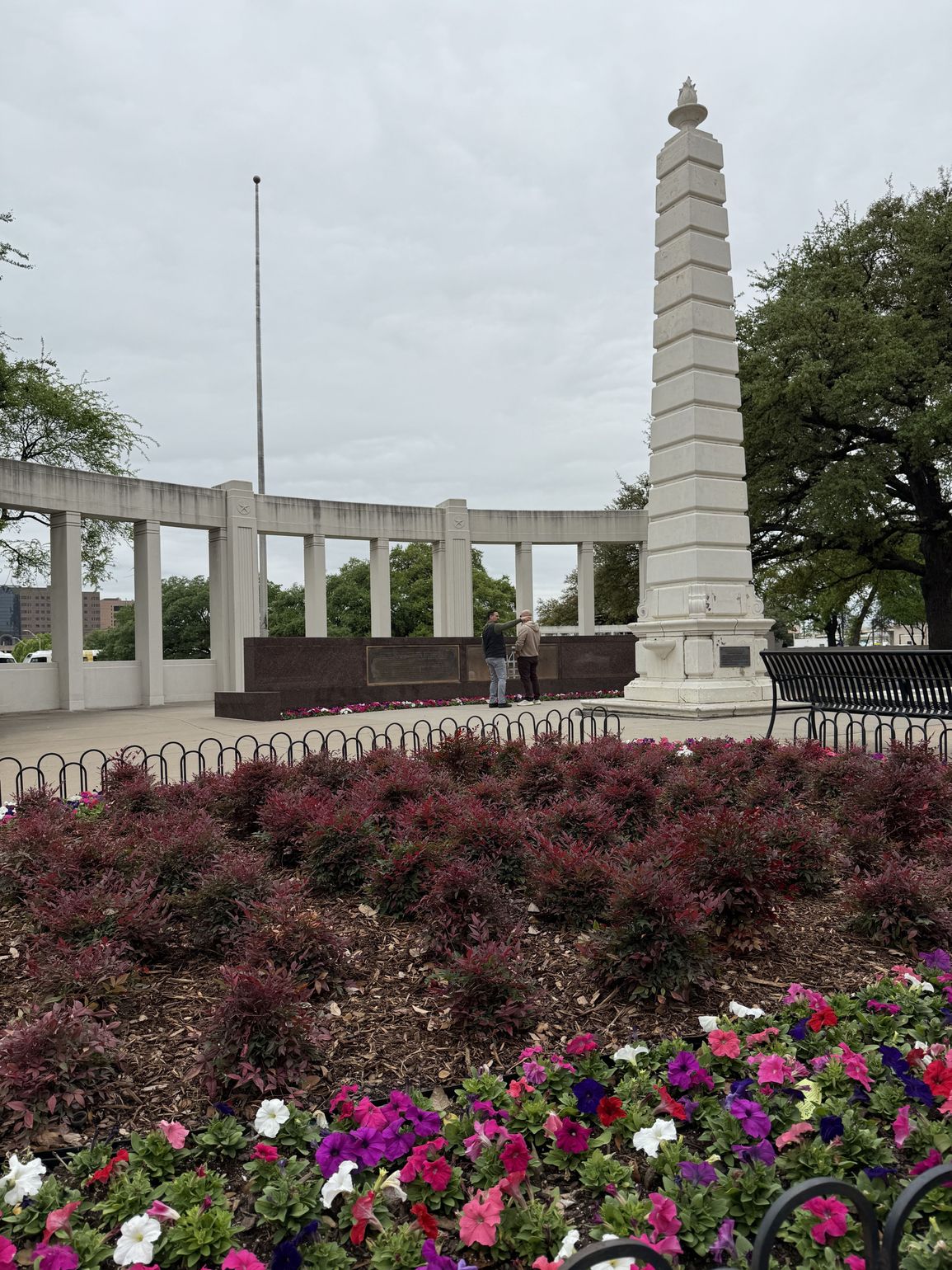 dallas texas