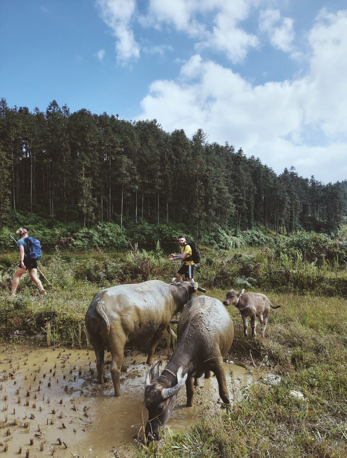 hiken in vietnam met dagrugzak