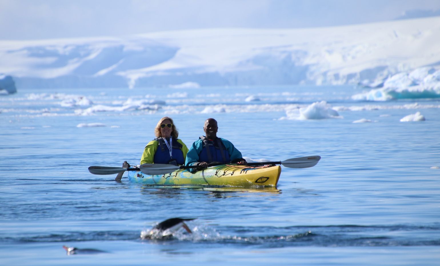 dieren zien tijdens kajakken