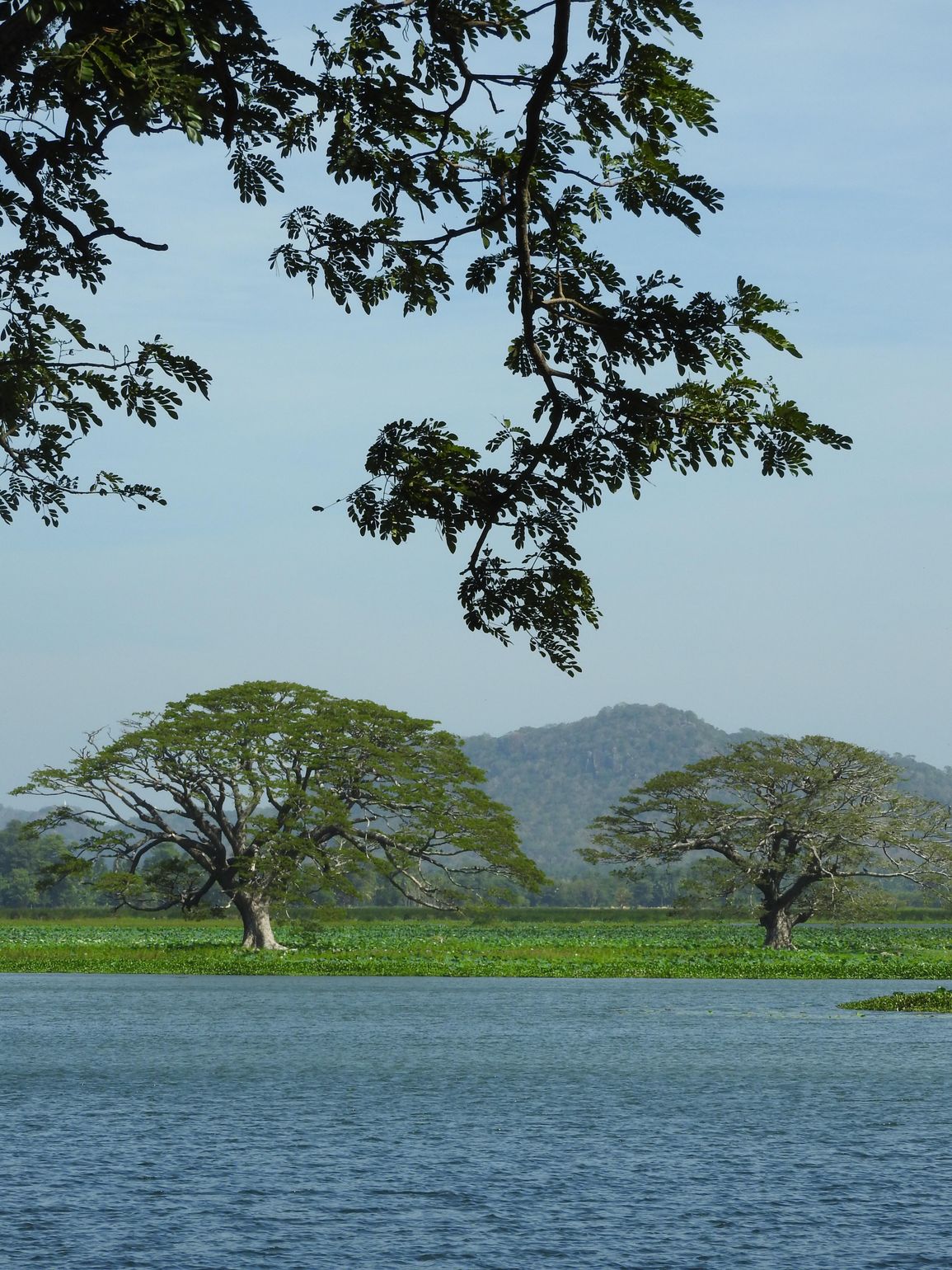 Yala National Park