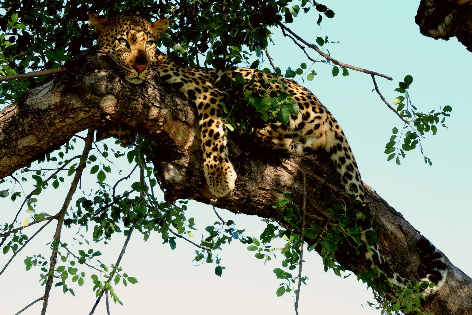 Groepsreis Zuid-Afrika en Lesotho