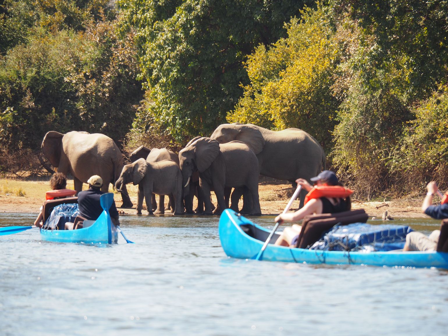 Kanosafari Zambezi in Zambia